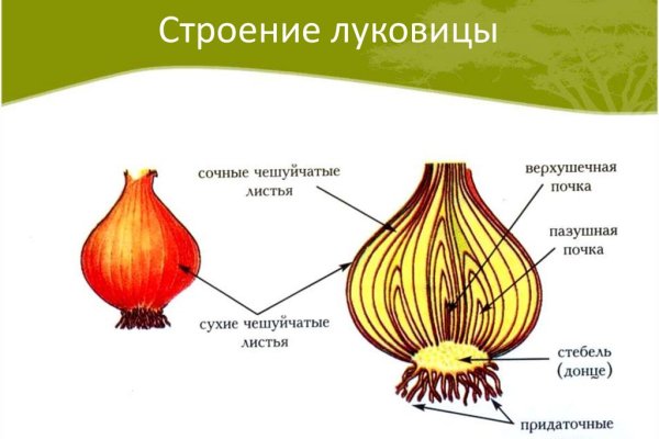 Актуальная ссылка на кракен