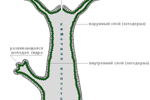 Кракен сайт в тор браузере