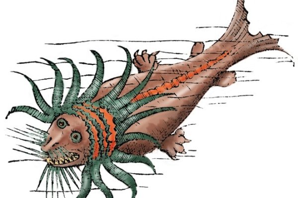 Kraken market