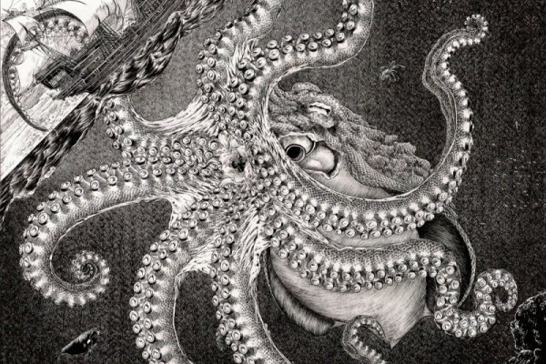 Kraken 12at