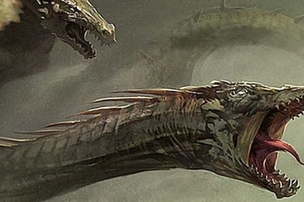 Kraken17 at